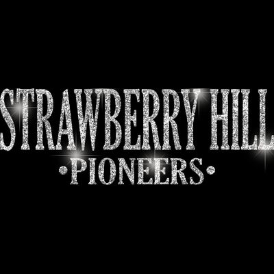 GLT21 SILVER GLITTER Thumbnail